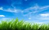_downloadfiles_wallpapers_1920_1200_blue_sky_green_grass_8632.jpg